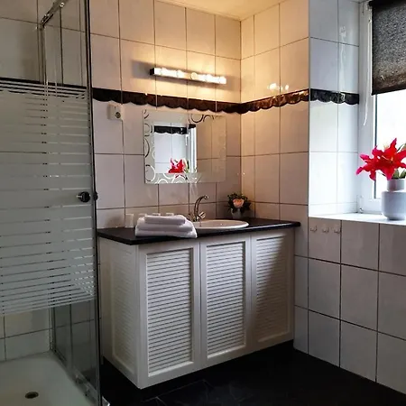 马克思汽车旅馆 公寓式酒店 法尔肯堡